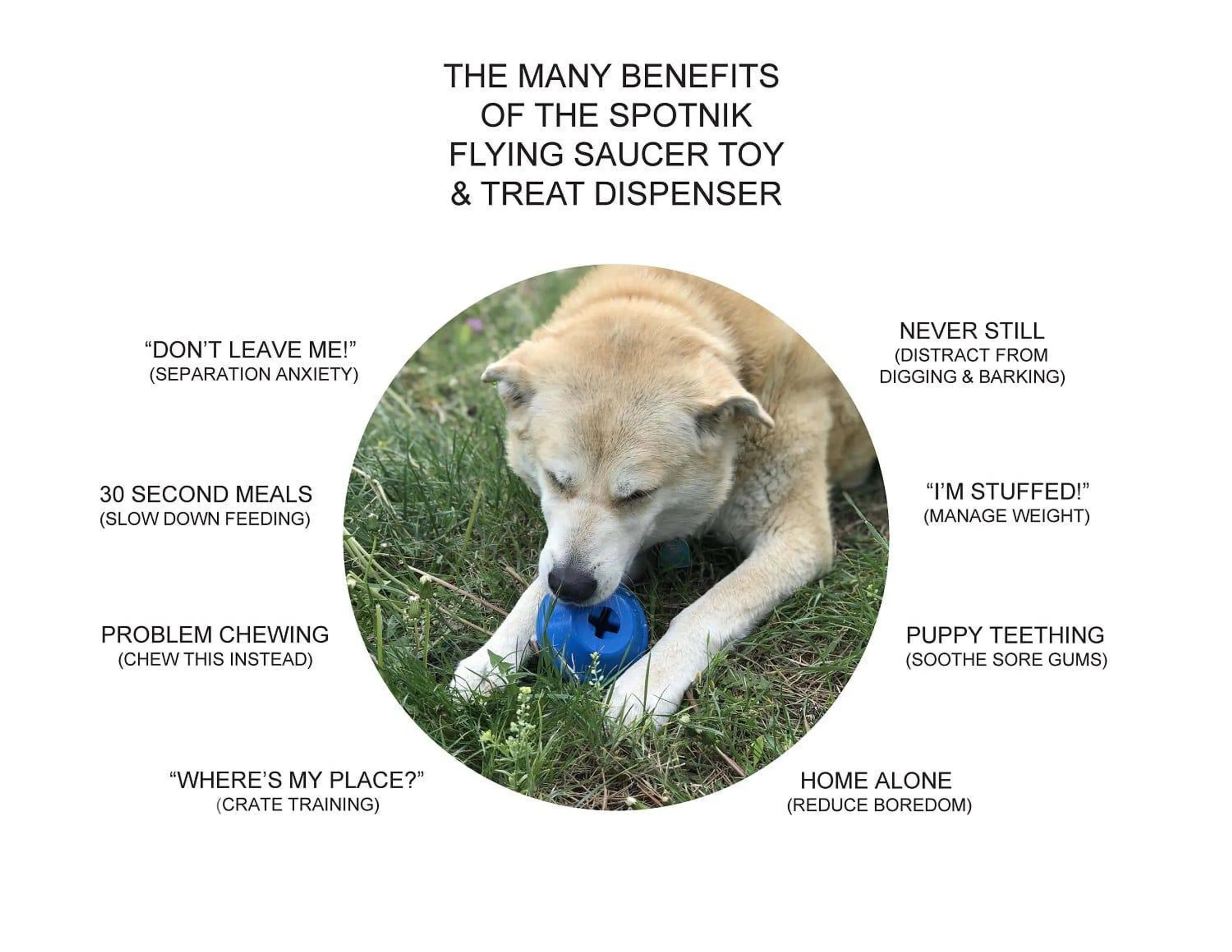 SodaPup SN Flying Saucer dog toy made of durable rubber, features a treat dispenser and chew surface for playful dogs.