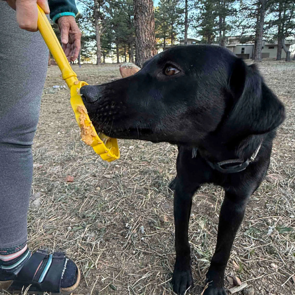 SodaPup eStick Hand Held Dog Enrichment Toy, interactive lick stick for dogs, designed for mental stimulation and fun.