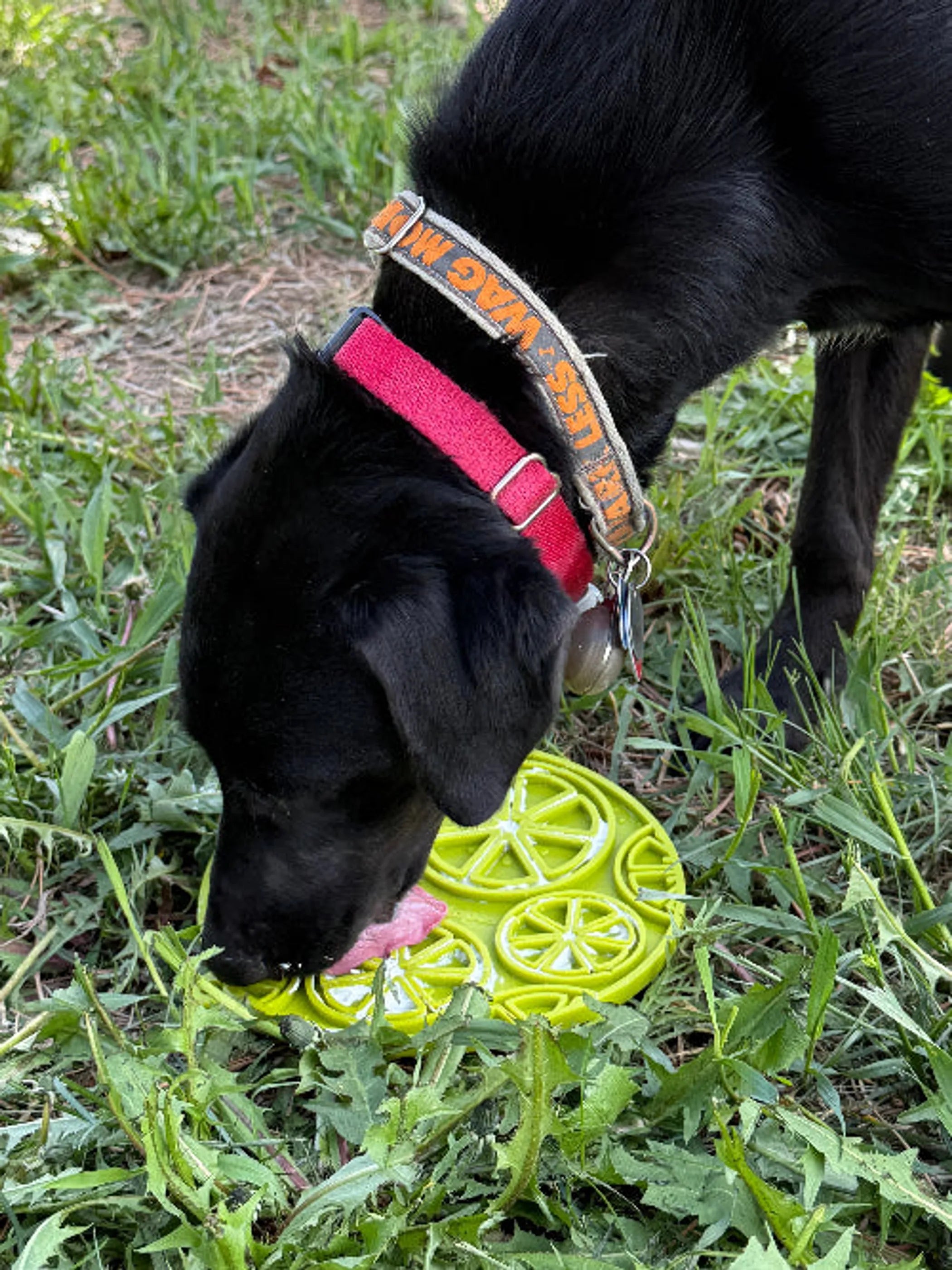 SodaPup Citrus Design eMat enrichment lick mat for dogs and cats, featuring colorful citrus pattern and textured surface for pet enrichment.