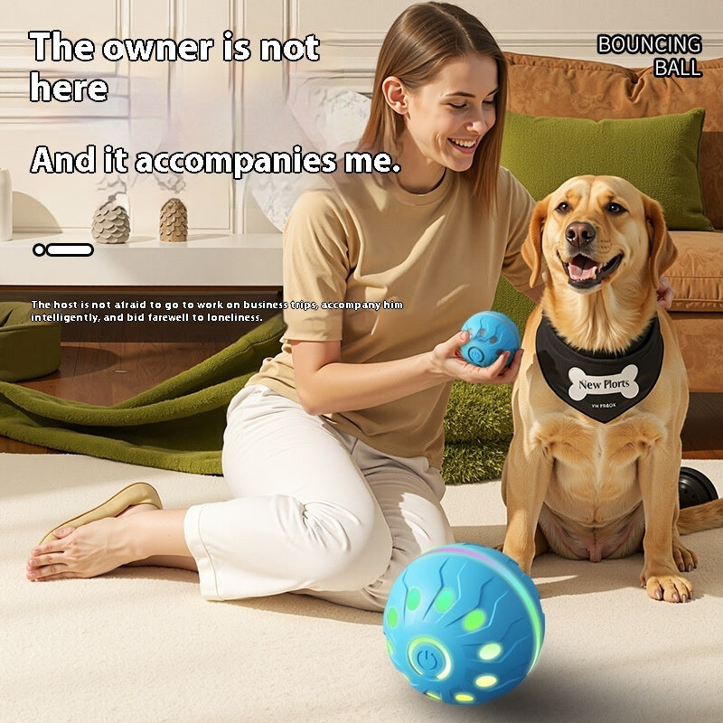 Pet Toy Funny Jumping Automatic Funny Dog Ball