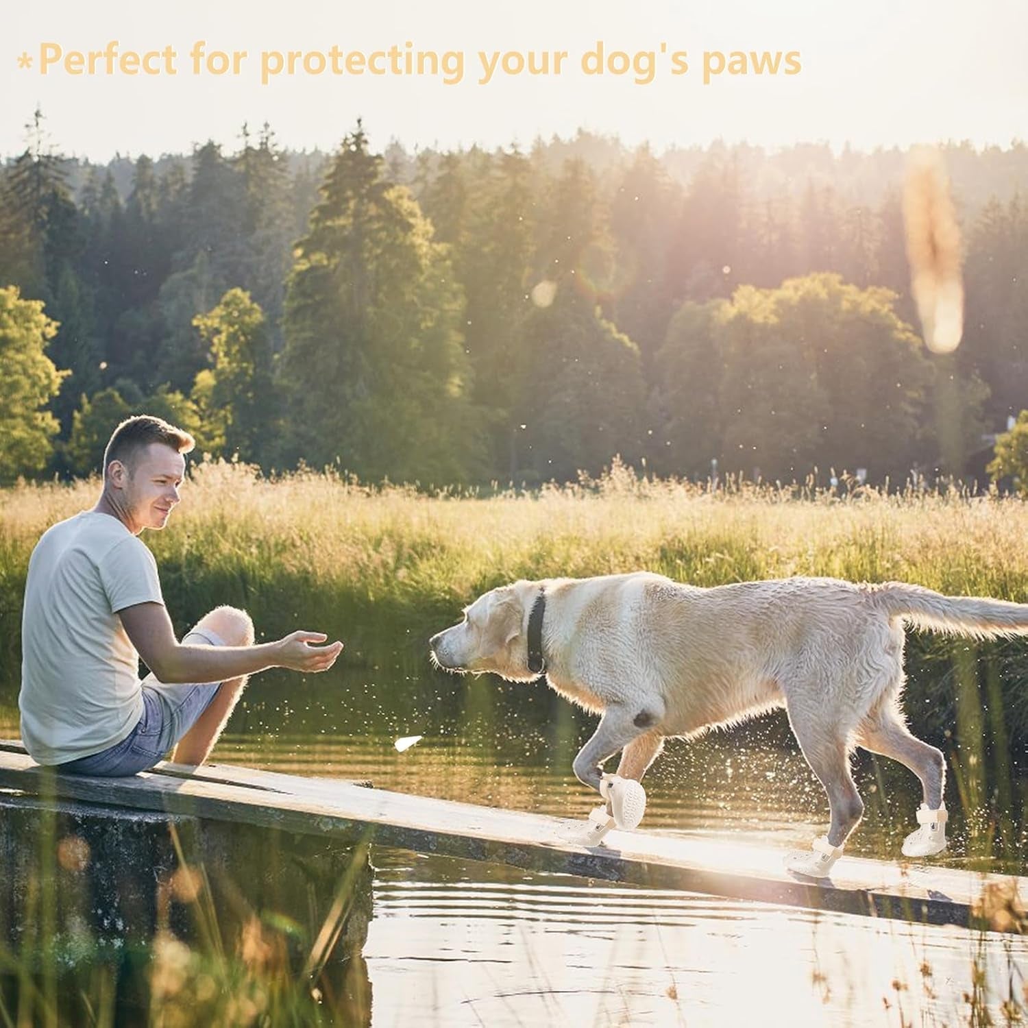 Croc-Style Dog Shoes