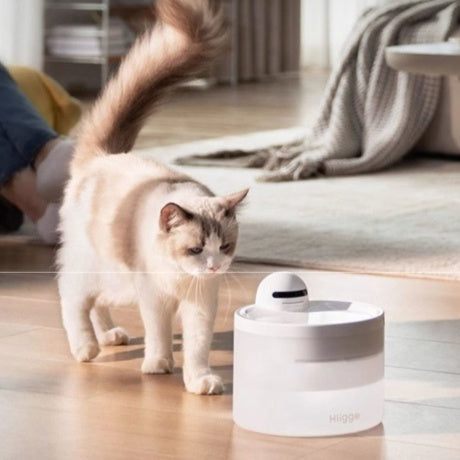 Smart Wireless Pet Water Dispenser With 24-Hour Water Quality Monitoring For Cats And Dogs