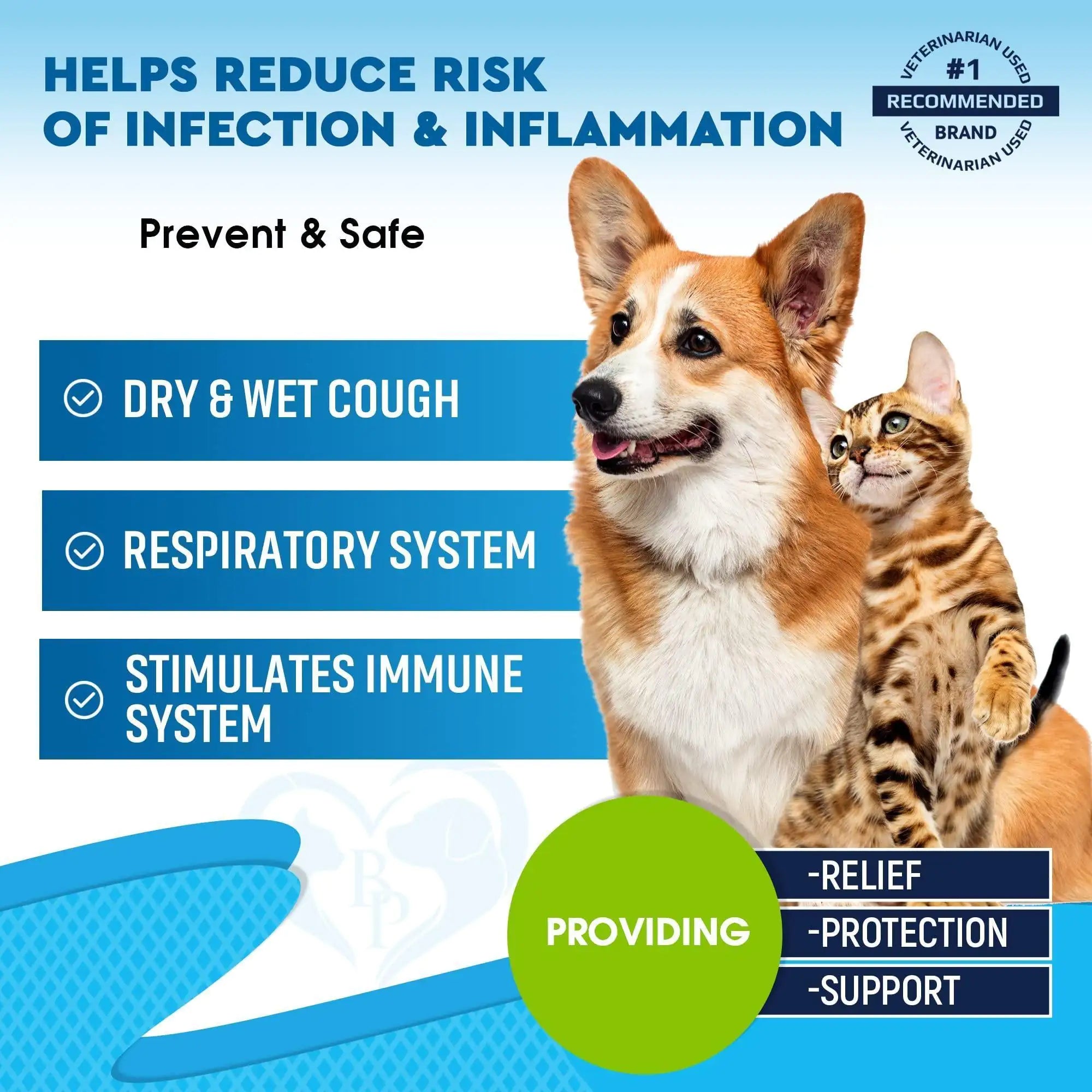 Kennel Cough Treatment for Dogs and Cats - Natural Infection Medicine for Cold Cough Relief