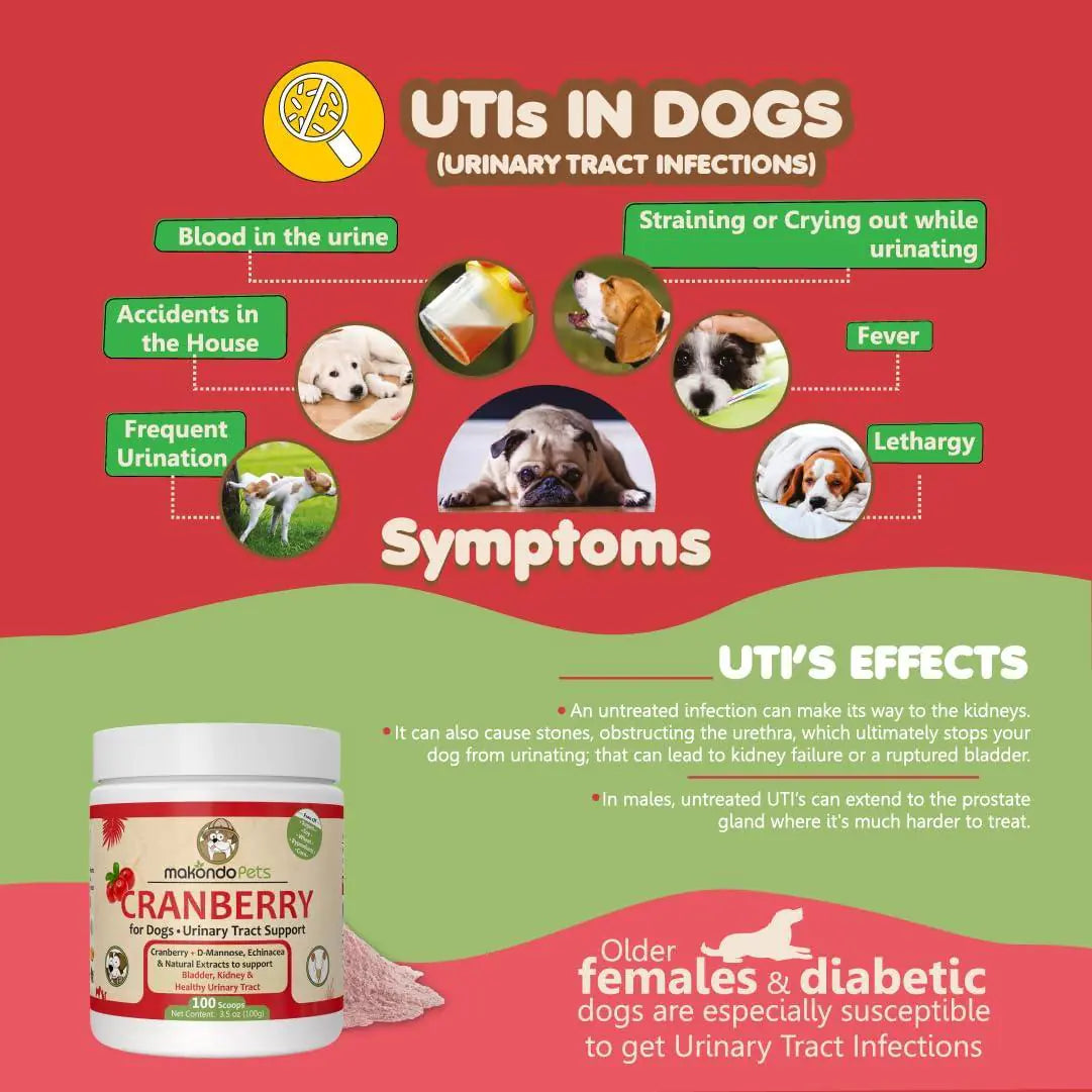 Dog Cranberry Supplement - Natural UTI Treatment & Kidney Support for Dogs