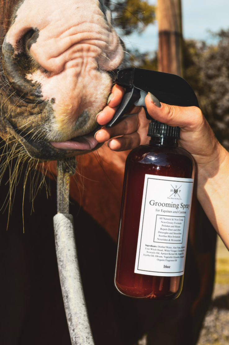 Grooming Spray for Dogs & Horses - 16oz