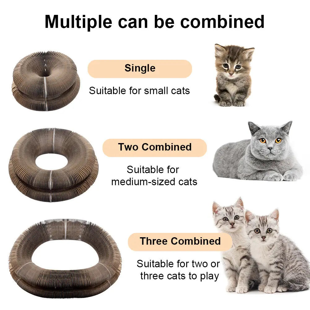 White foldable cat scratching board toy by Brandywines Time, designed for cats to scratch, play, and grind claws.