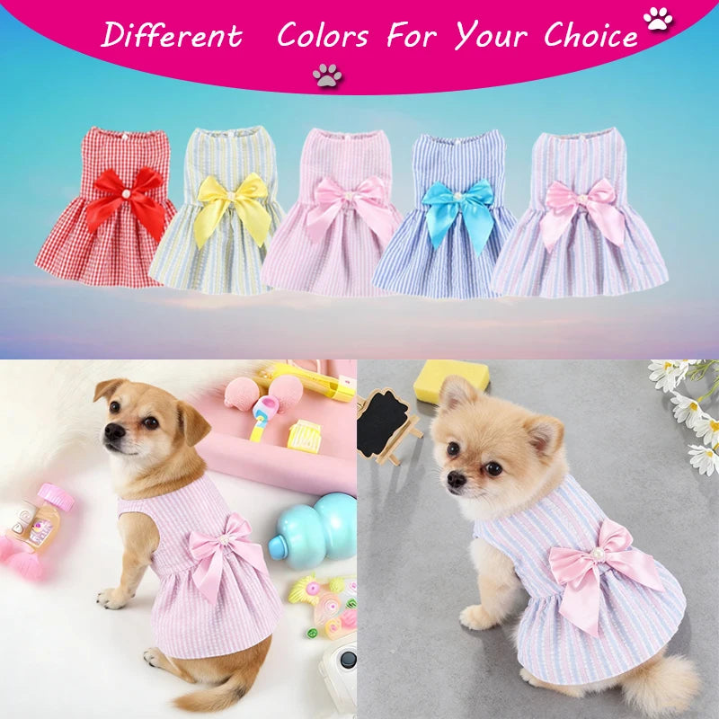 Small dog wearing purple flower princess dress from AliExpress, featuring a cute design for pets like teddy and kitty.