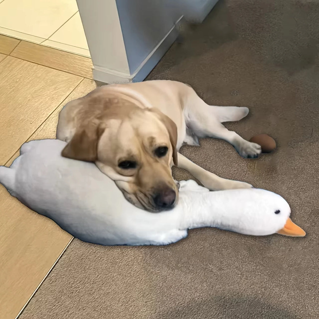Large plush white duck dog toy with realistic goose design, suitable for dogs, measuring about 35-43 inches.