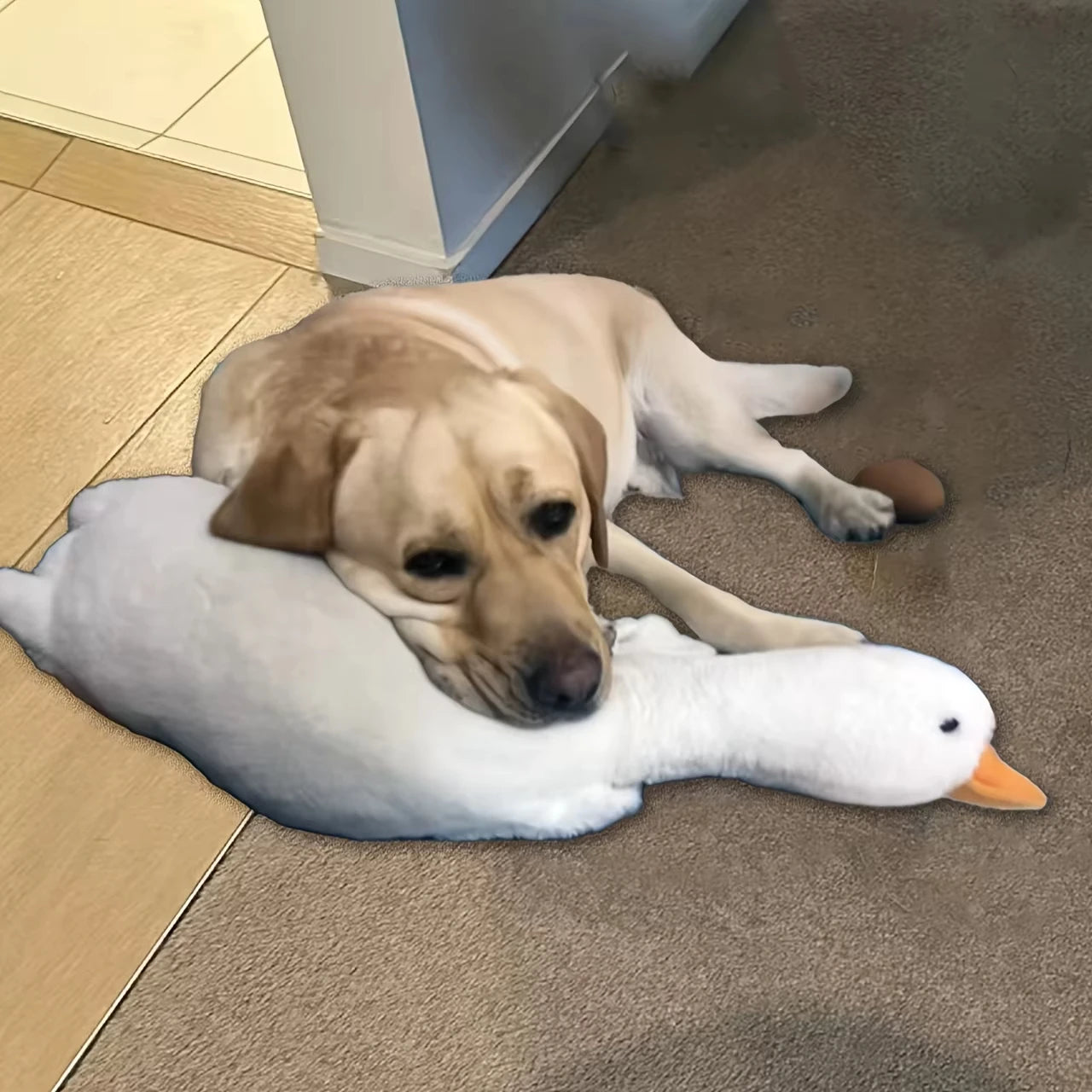 Large plush white duck dog toy with realistic goose design, suitable for dogs, measuring about 35-43 inches.