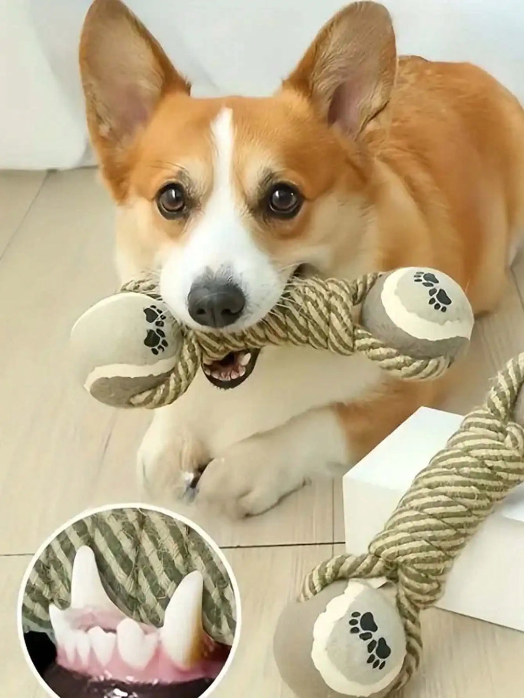 Durable pet dog chew toy designed for teeth cleaning, made from indestructible materials for long-lasting play.