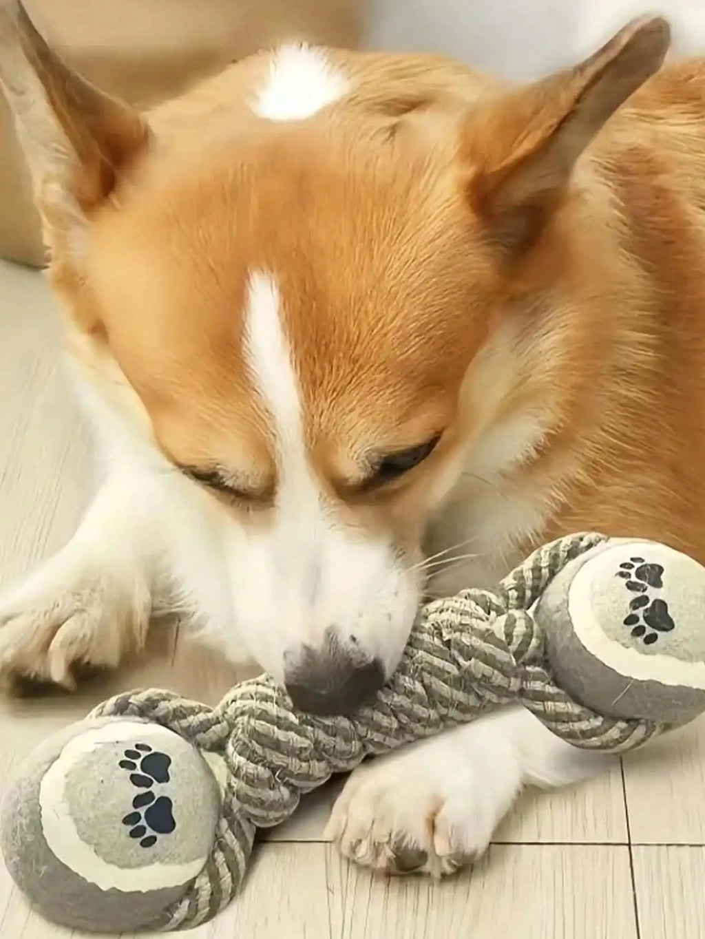 Durable indestructible pet teeth cleaning toy for dogs, made of tough material, designed for long-lasting chewing and dental health.