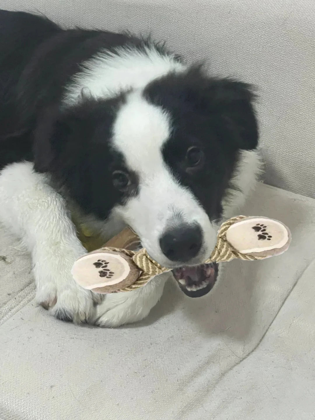 Durable indestructible pet teeth cleaning toy for dogs, made from tough material to promote dental health and withstand chewing.