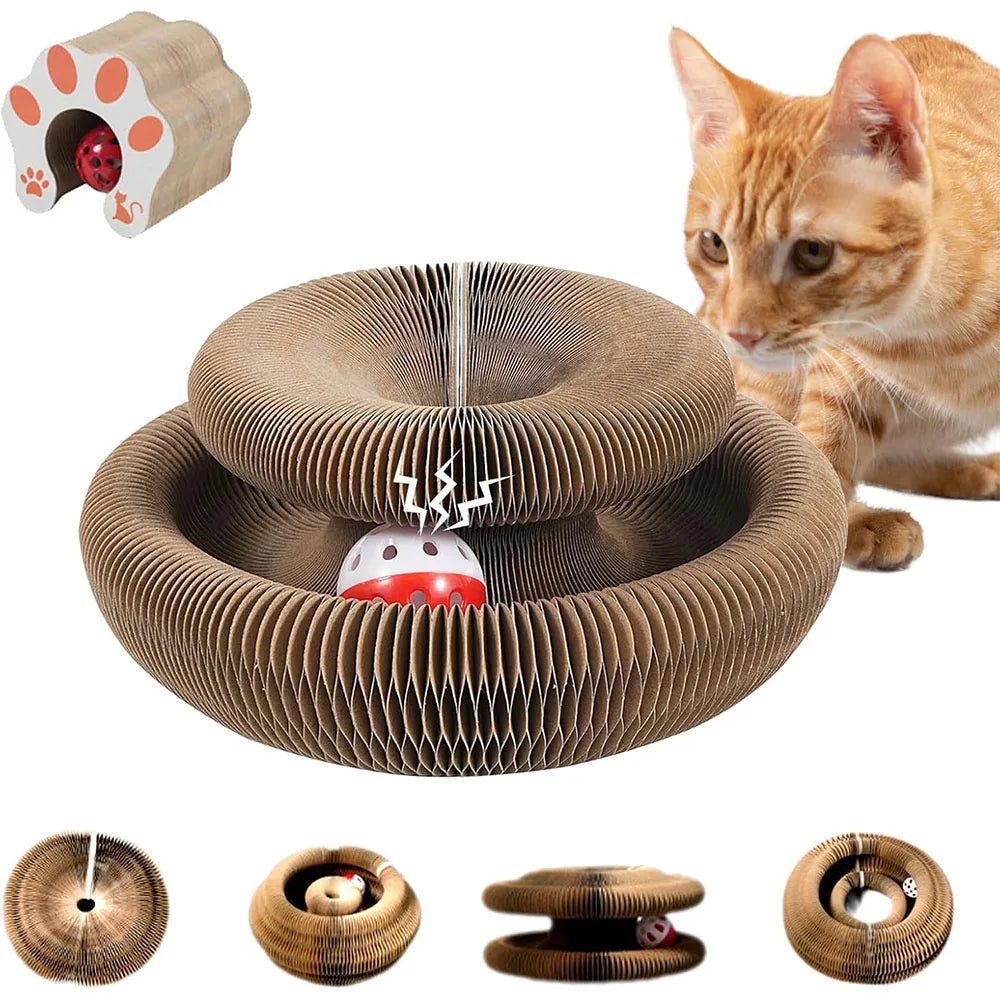 Interactive Magic Organ cat scratching board and toy, designed for cats to scratch and play, made by AliExpress.