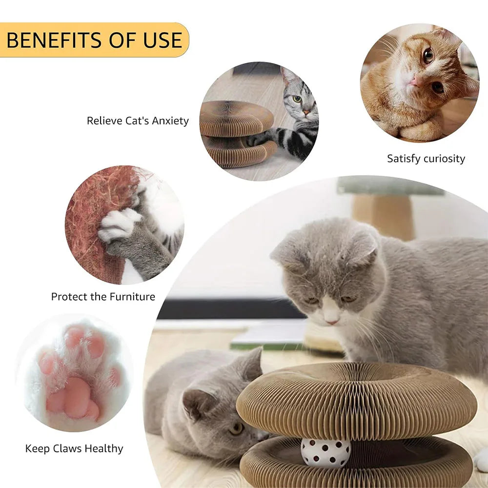 Two AliExpress Magic Organ cat scratching boards, interactive scratchers designed for cats to play and scratch comfortably.