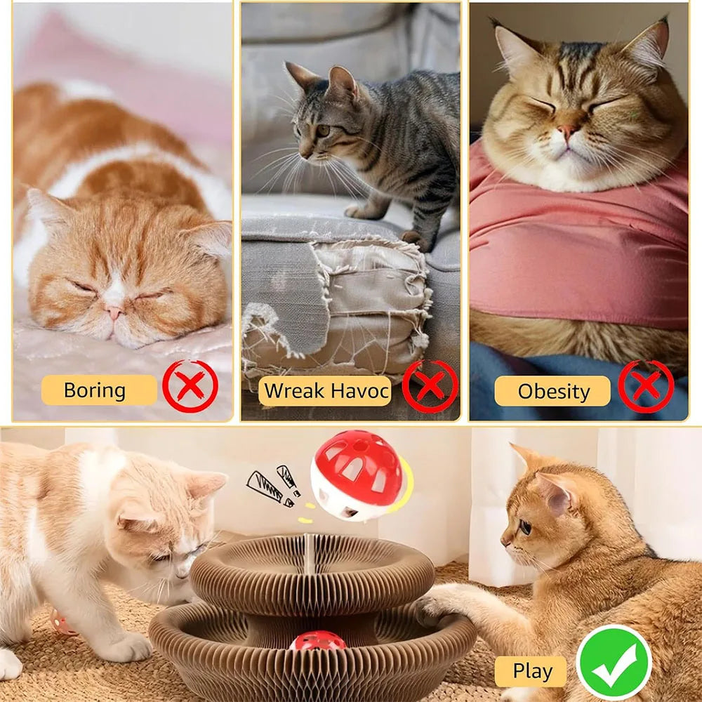 Interactive Magic Organ Cat Scratching Board by AliExpress, a fun cat toy with textured surfaces for scratching and play.