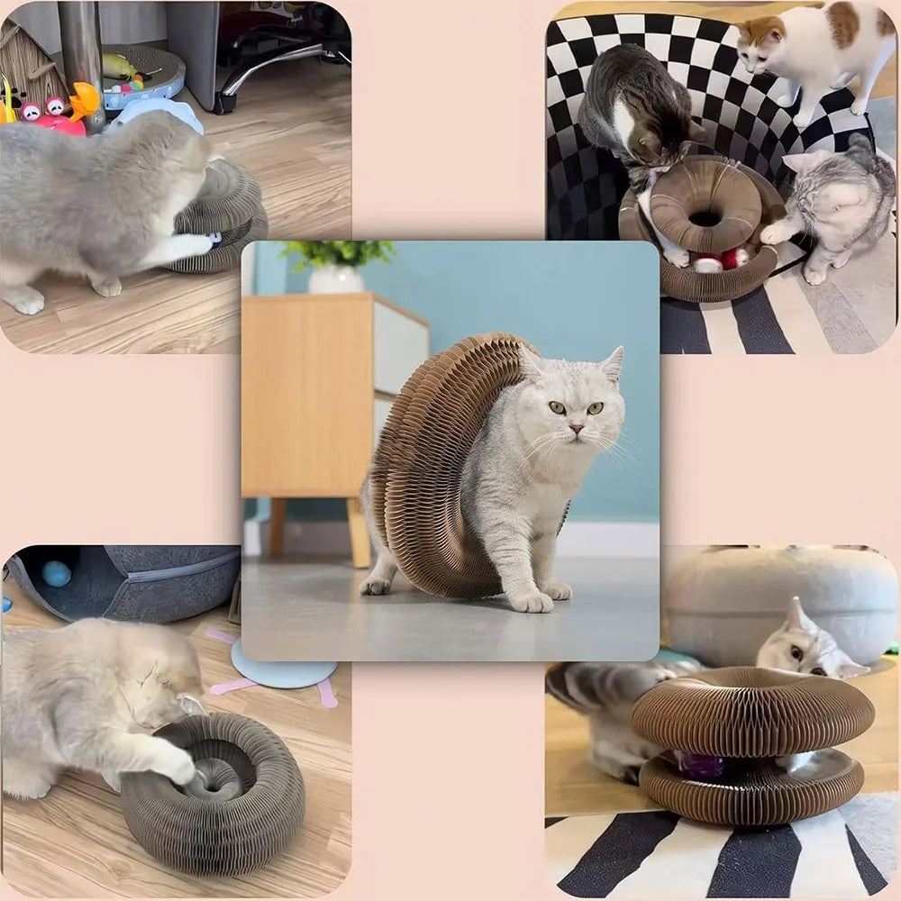 Interactive Magic Organ Cat Scratching Board from AliExpress, featuring a colorful design for engaging feline scratching and play.