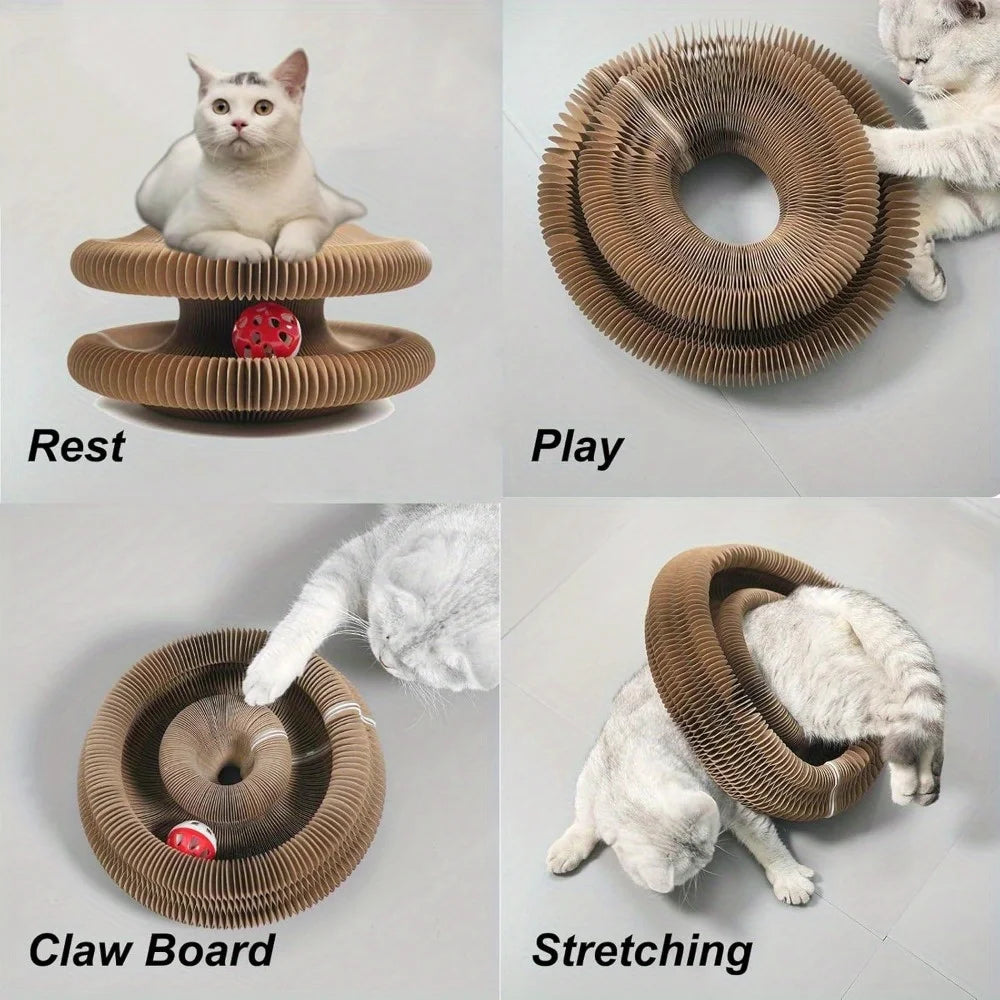 Magic Organ Cat Scratching Board by AliExpress, interactive cat toy with textured surface for scratching and play.