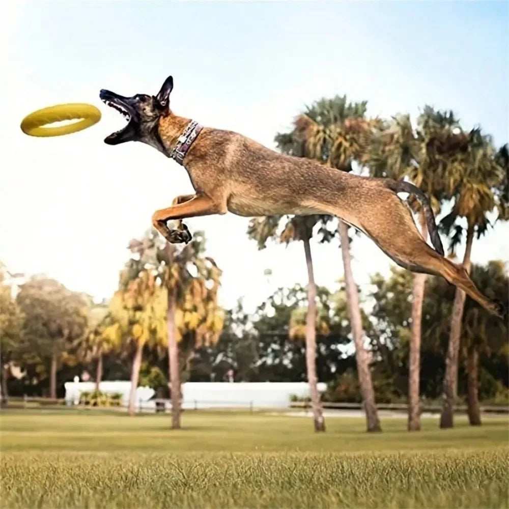 Yellow dog toy flying disk with training ring and puller, anti-bite floating design for active pet play and fetch.