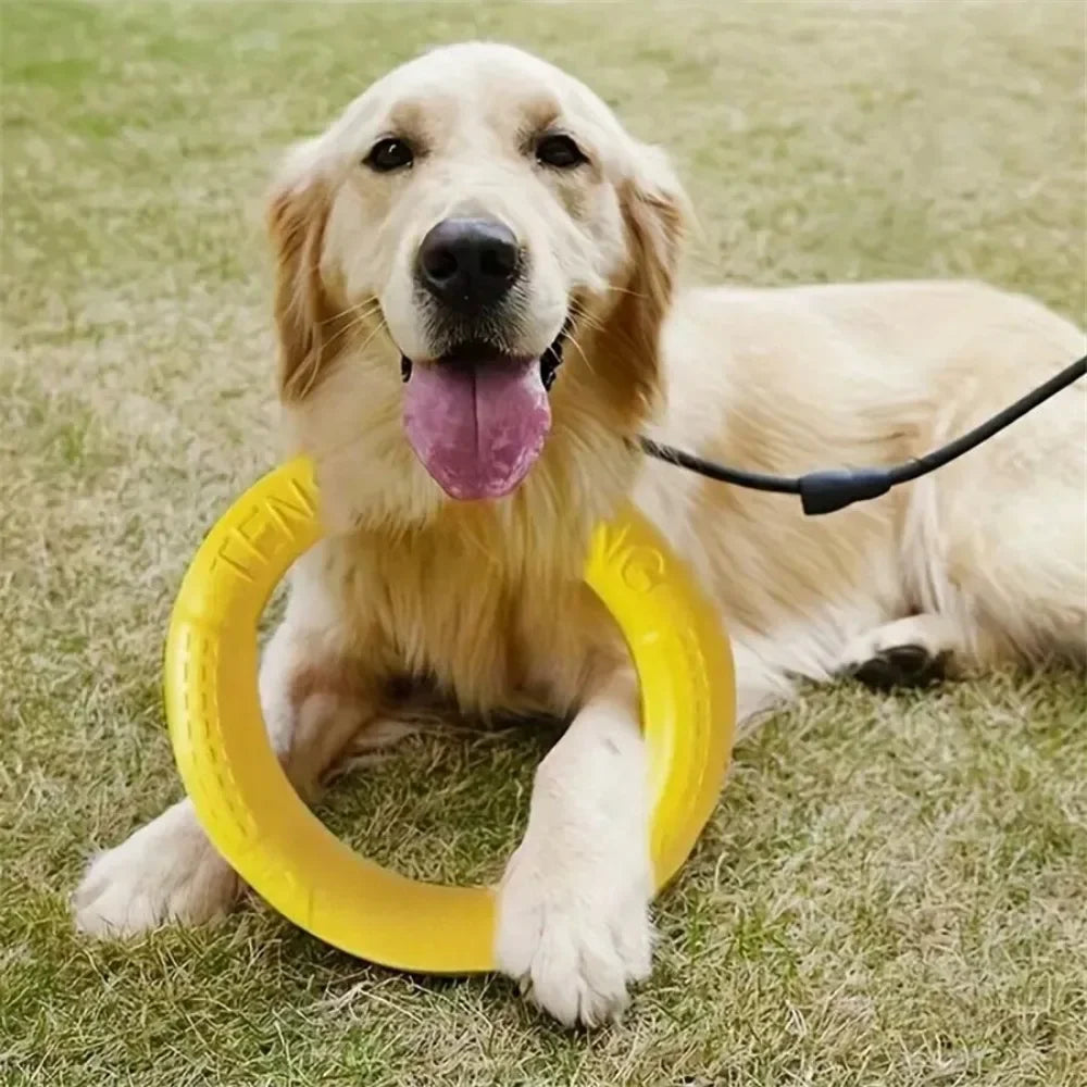Yellow dog flying disk toy by AliExpress, anti-bite floating training ring for fetch and play for pets.
