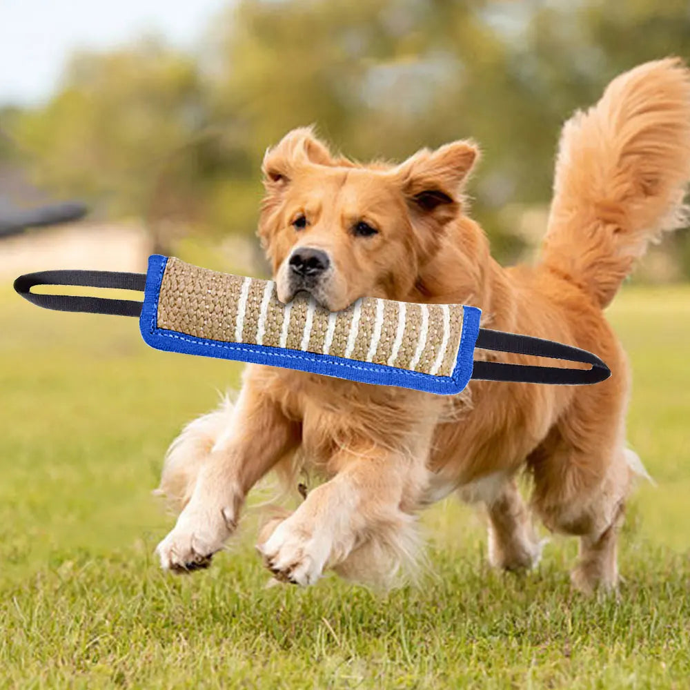 Green Jaoseko dog bite rod toy for training and grinding teeth, designed for dogs to chew and play safely.