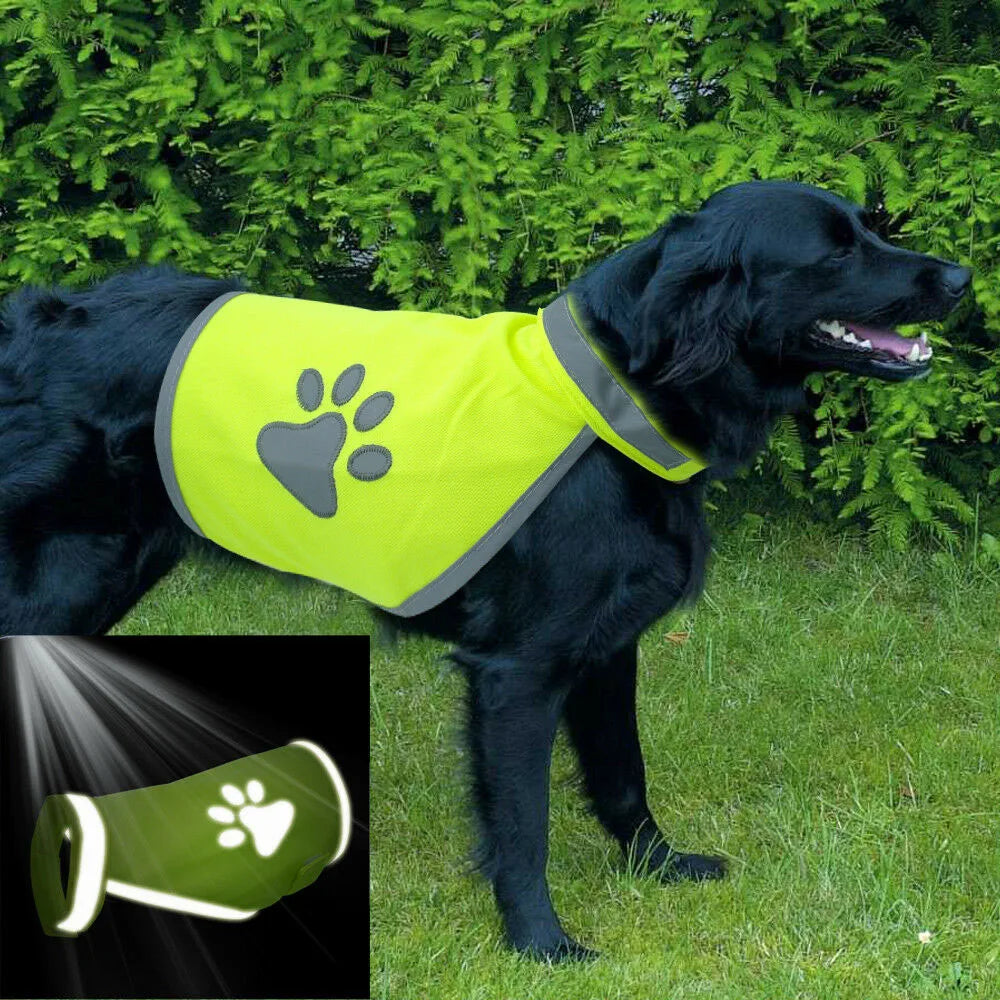 Bright yellow reflective dog safety vest from AliExpress, high visibility pet apparel with fluorescent material for nighttime safety.