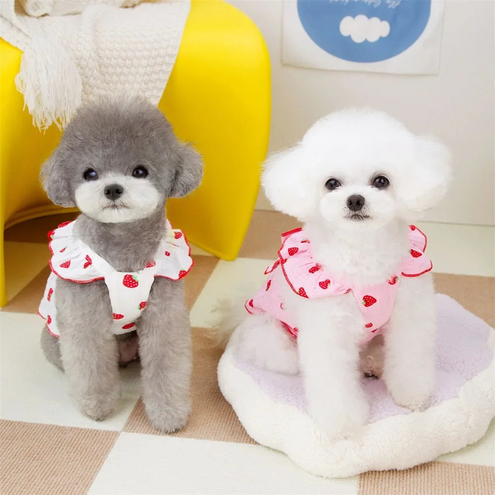 Pink strawberry pattern summer dog dress with suspenders, pet apparel by Brandywines Time for stylish canine summer wear.
