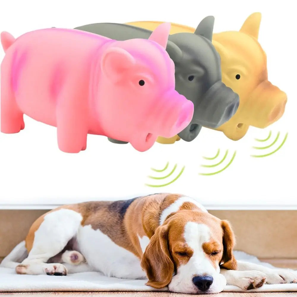Yellow rubber pig dog toy with squeaking sound, made of latex, designed for chewing and play.