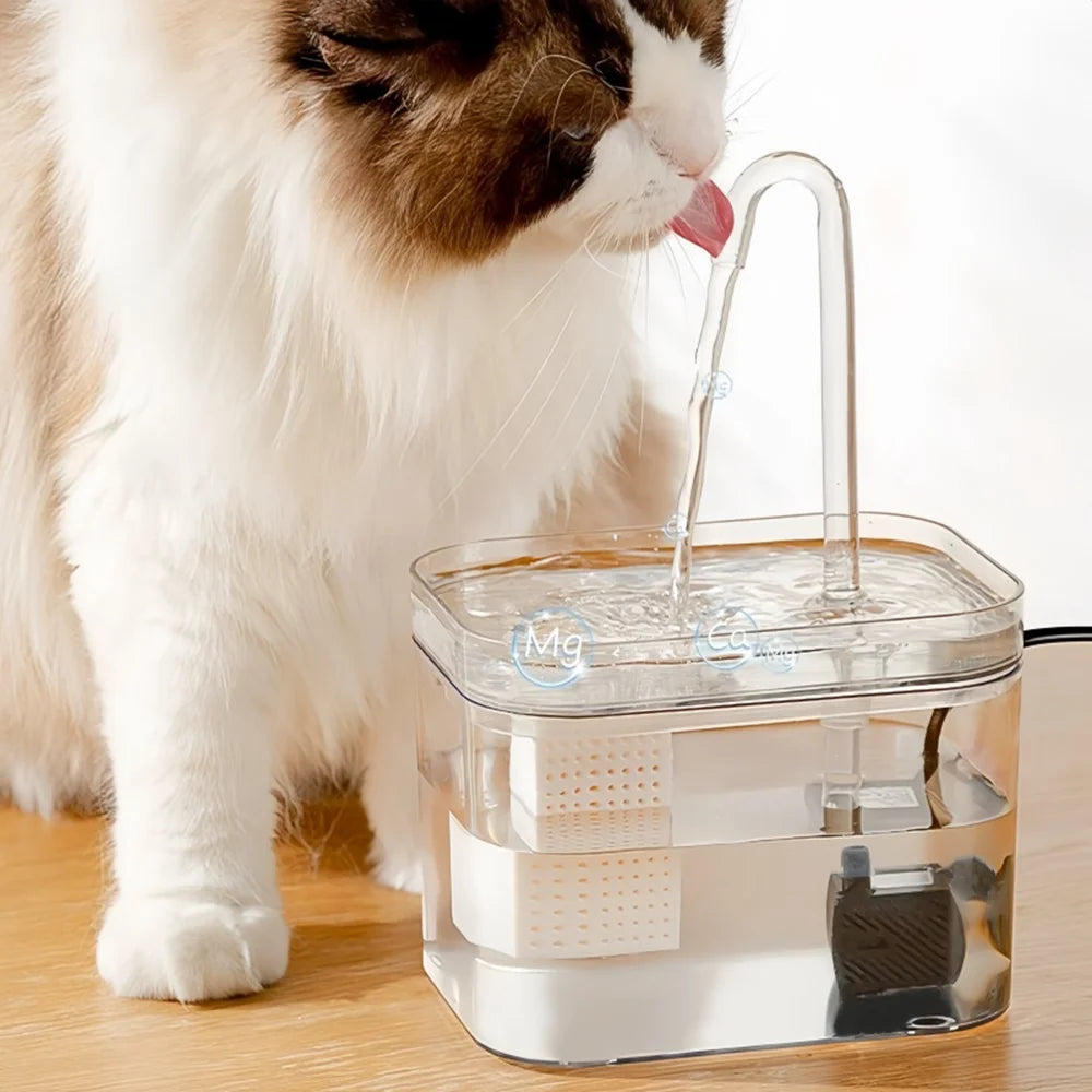 Transparent cat water fountain with automatic circulating water dispenser, designed for pet hydration.
