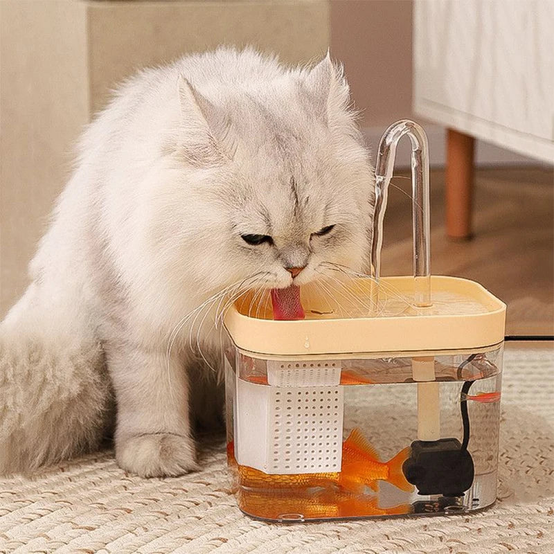 Transparent cat water fountain with circulating water, automatic pet dispenser for fresh drinking water.