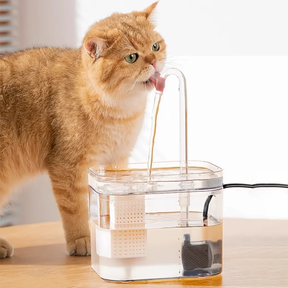 Transparent cat water fountain with circulating water, automatic pet dispenser, designed for easy drinking by cats.