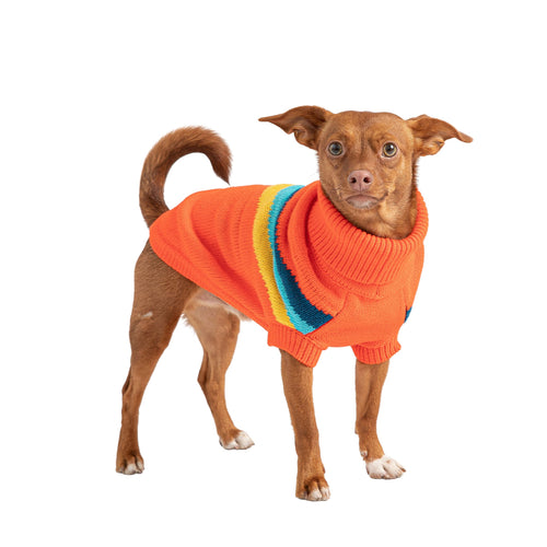 Orange Alpine Sweater for pets by Beige Antigone, shown on a small-sized pet, made of cozy fabric for outdoor wear.