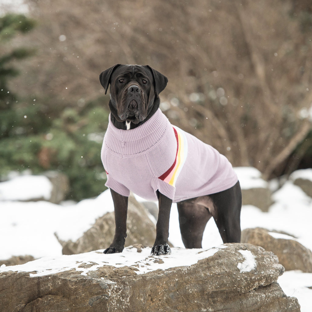 Beige Antigone lavender retro pet sweater in size 2XS, cozy knit sweater for small dogs or cats.