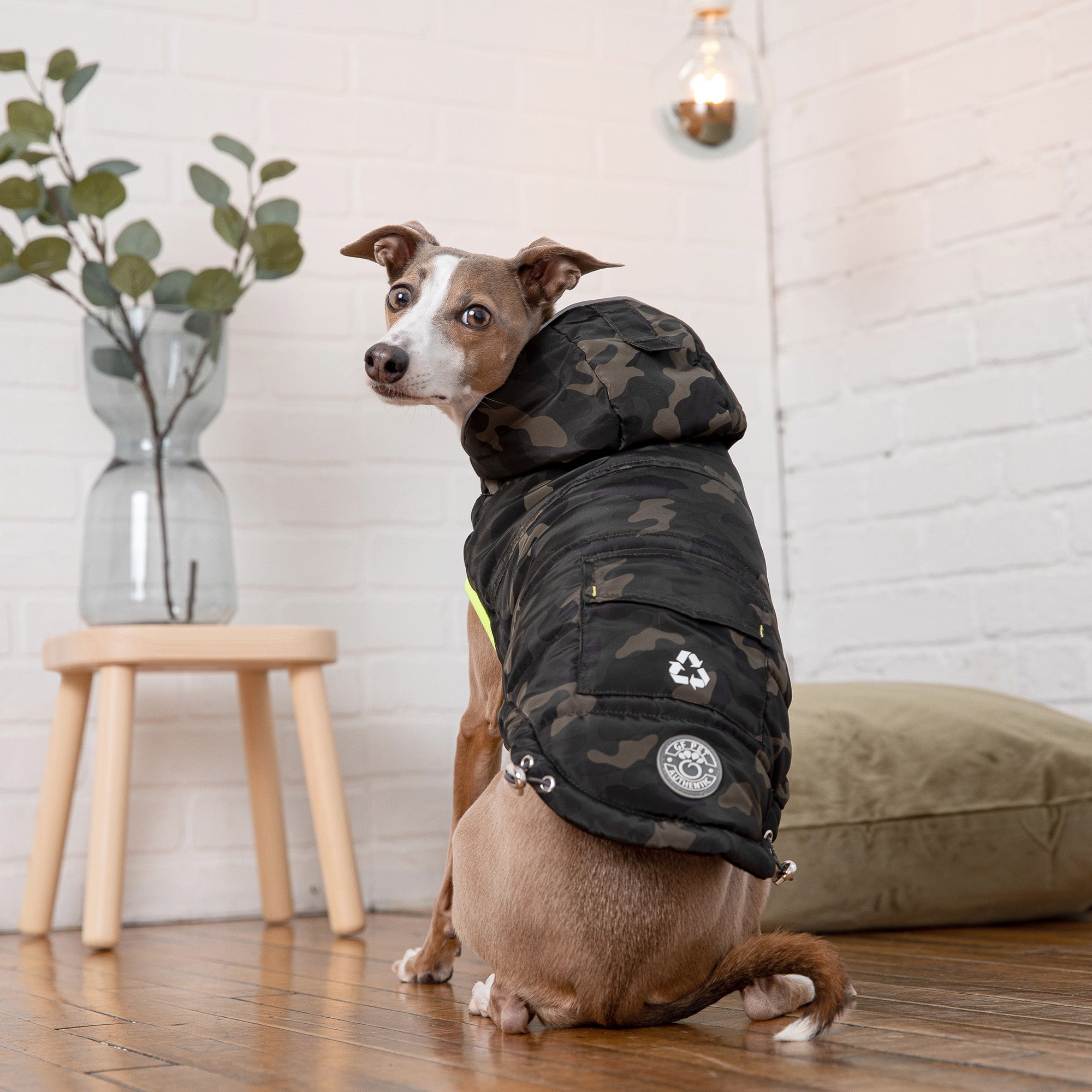 Beige Antigone recycled camouflage pet parka, lightweight and warm, designed for dogs to wear outdoors.
