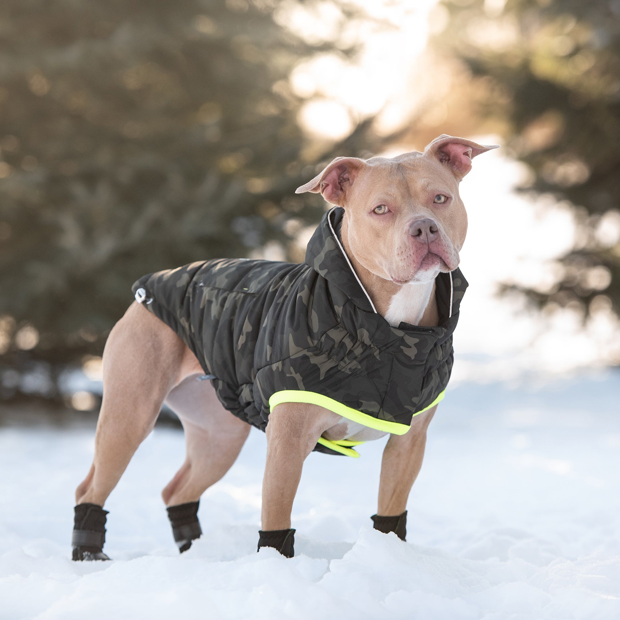 Beige Antigone recycled camouflage pet parka with hood, designed for dogs, featuring eco-friendly materials and a stylish camo pattern.