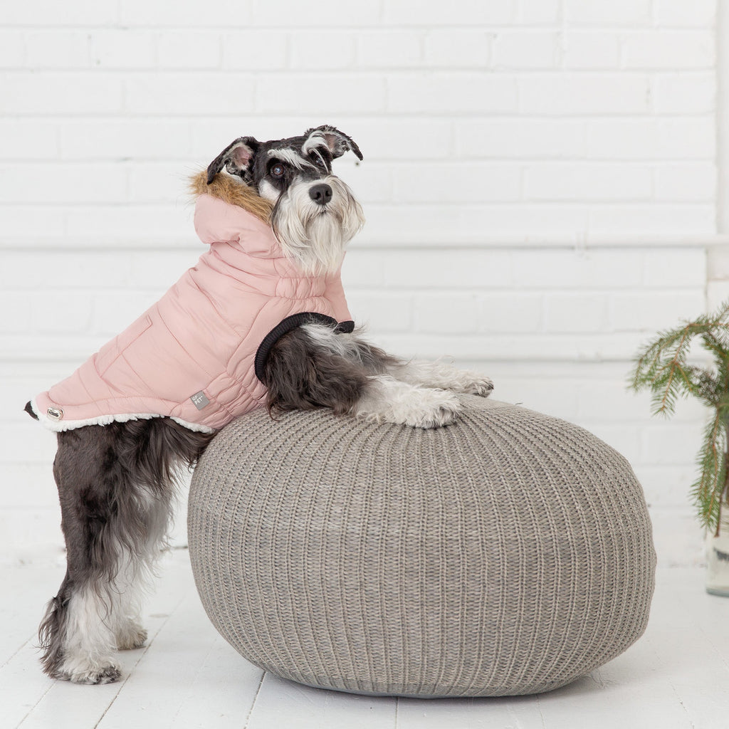 Pink Urban Parka for pets by Beige Antigone, lightweight pet apparel designed for outdoor wear and comfort.