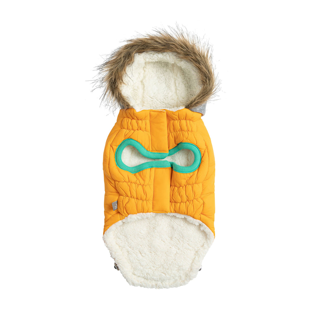 Yellow dog winter coat, Sailor Parka jacket by Beige Antigone, shown on a small pet apparel with leash and collar accessories.