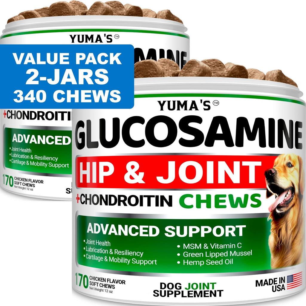 Two bottles of Brandywines Time Glucosamine for Dogs with Chondroitin, joint pain relief, in pet supplies packaging, Made in USA.