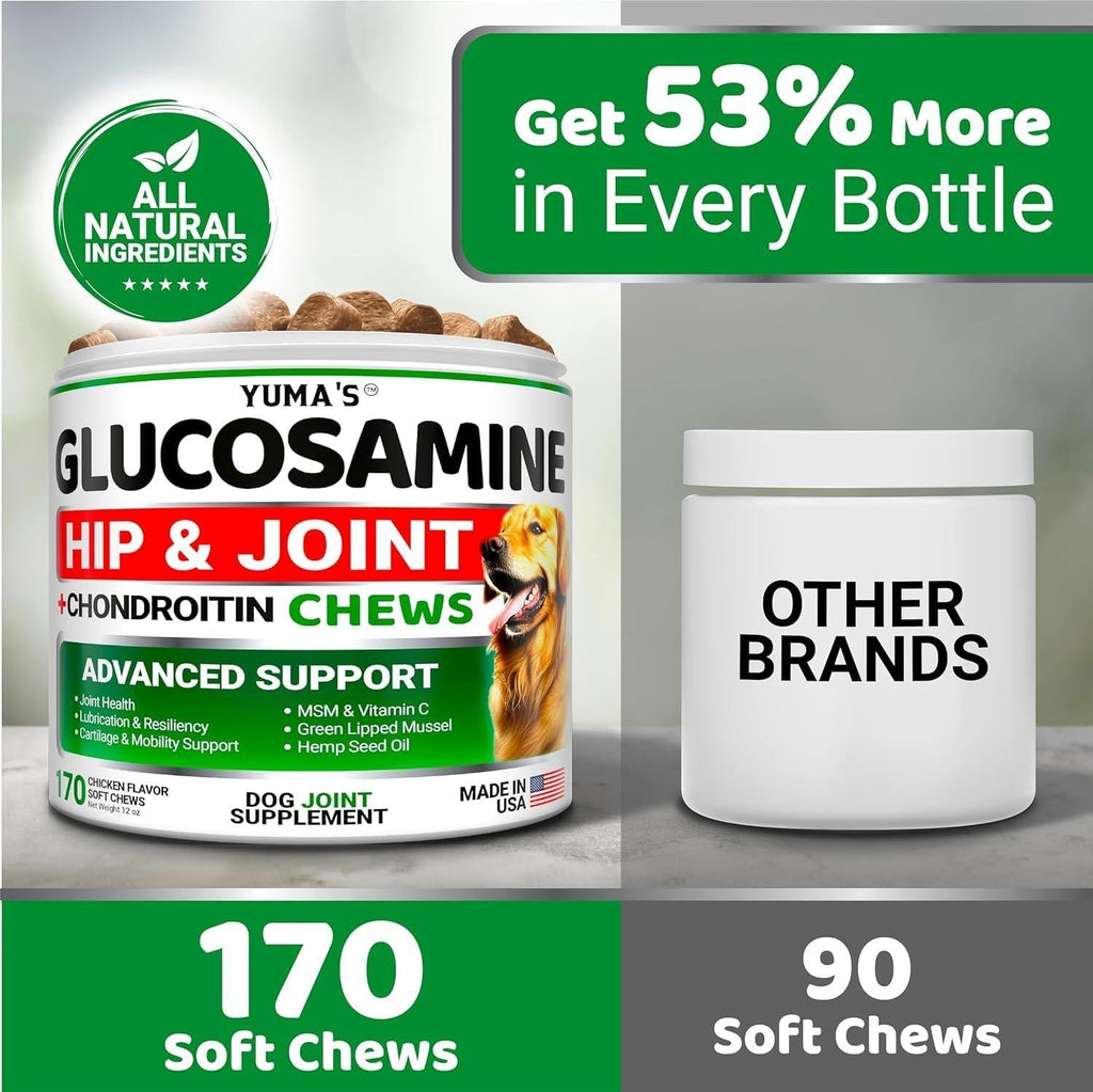 Two bottles of Brandywines Time Glucosamine for Dogs with Chondroitin, joint pain relief, made in USA, in clear packaging.