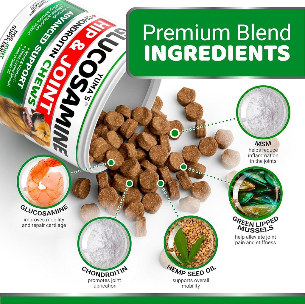 Two packs of Brandywines Time Glucosamine for Dogs with Chondroitin, joint pain relief, in pet supplement bottles.