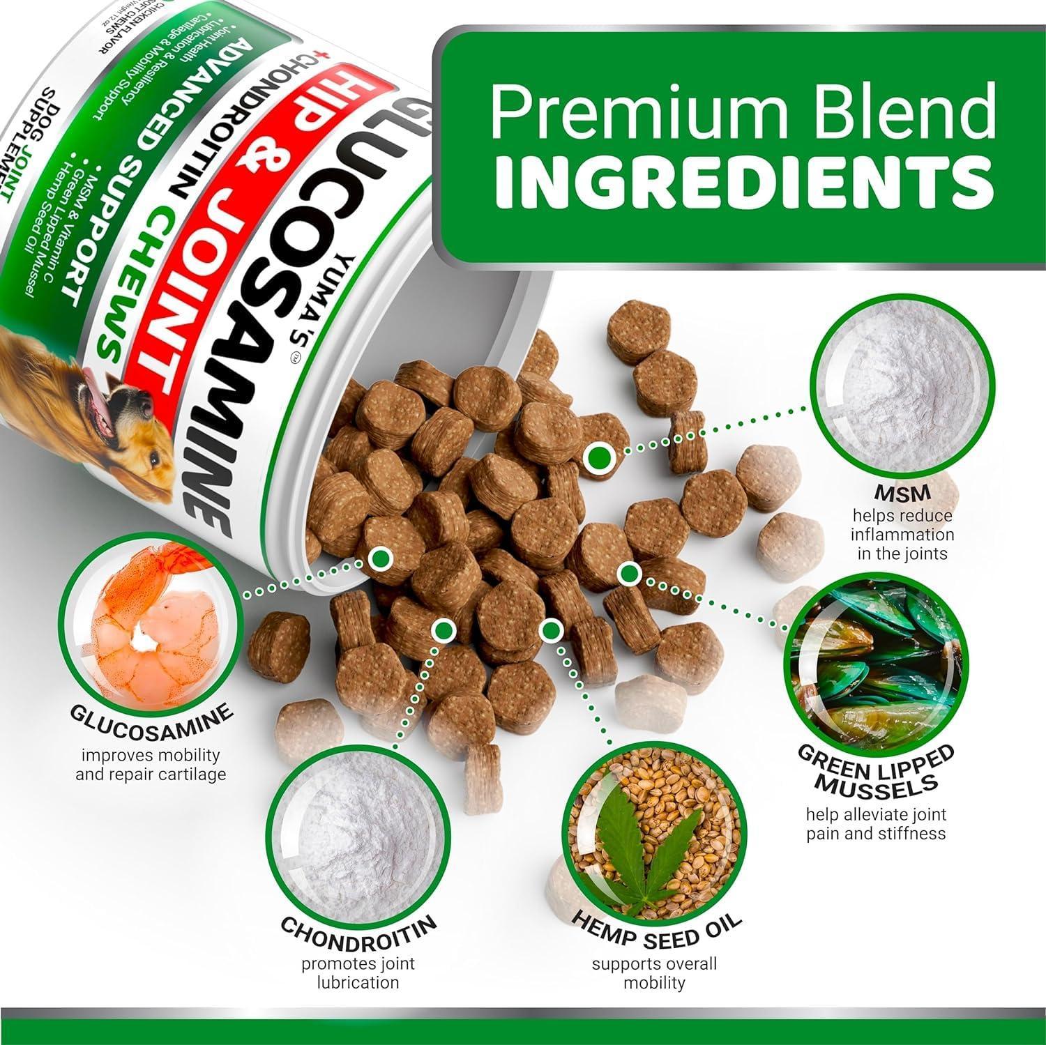 Two packs of Brandywines Time Glucosamine for Dogs with Chondroitin, joint pain relief, in pet supplement bottles.