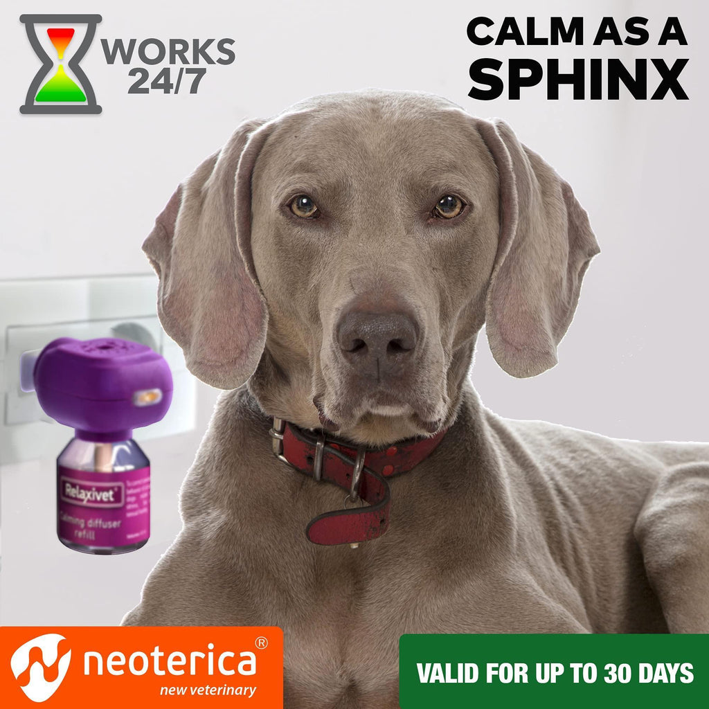 Brandywines Time dog calming diffuser kit with pet pheromone to help reduce separation anxiety in puppies and dogs.