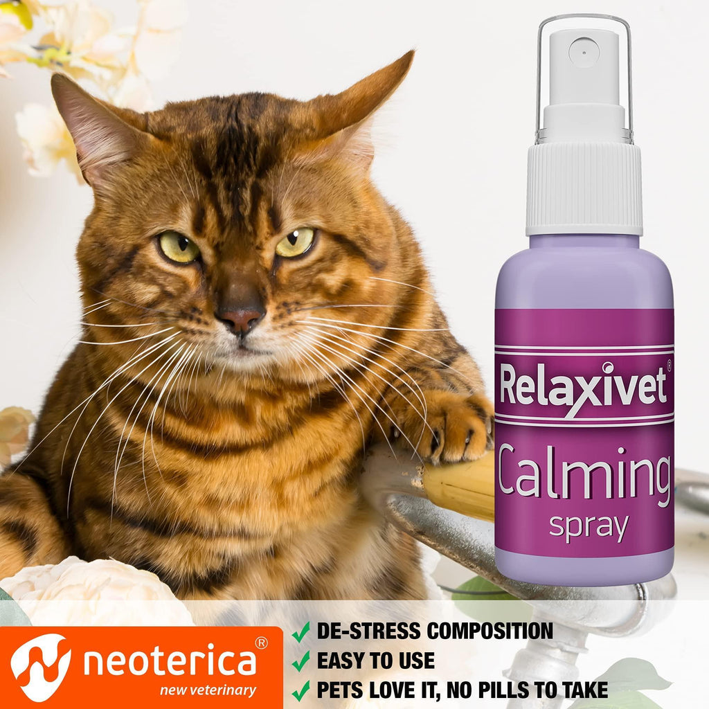 Brandywines Time calming pheromone spray for cats, scratch repellent to reduce stress during travel, shown in a pet supplies image.