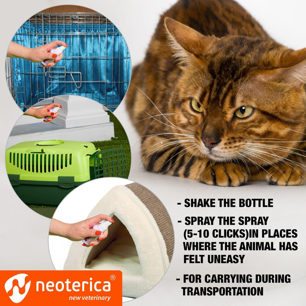 Brandywines Time calming pheromone spray for cats, scratch repellent to reduce stress during travel, in a pet supplies bottle.
