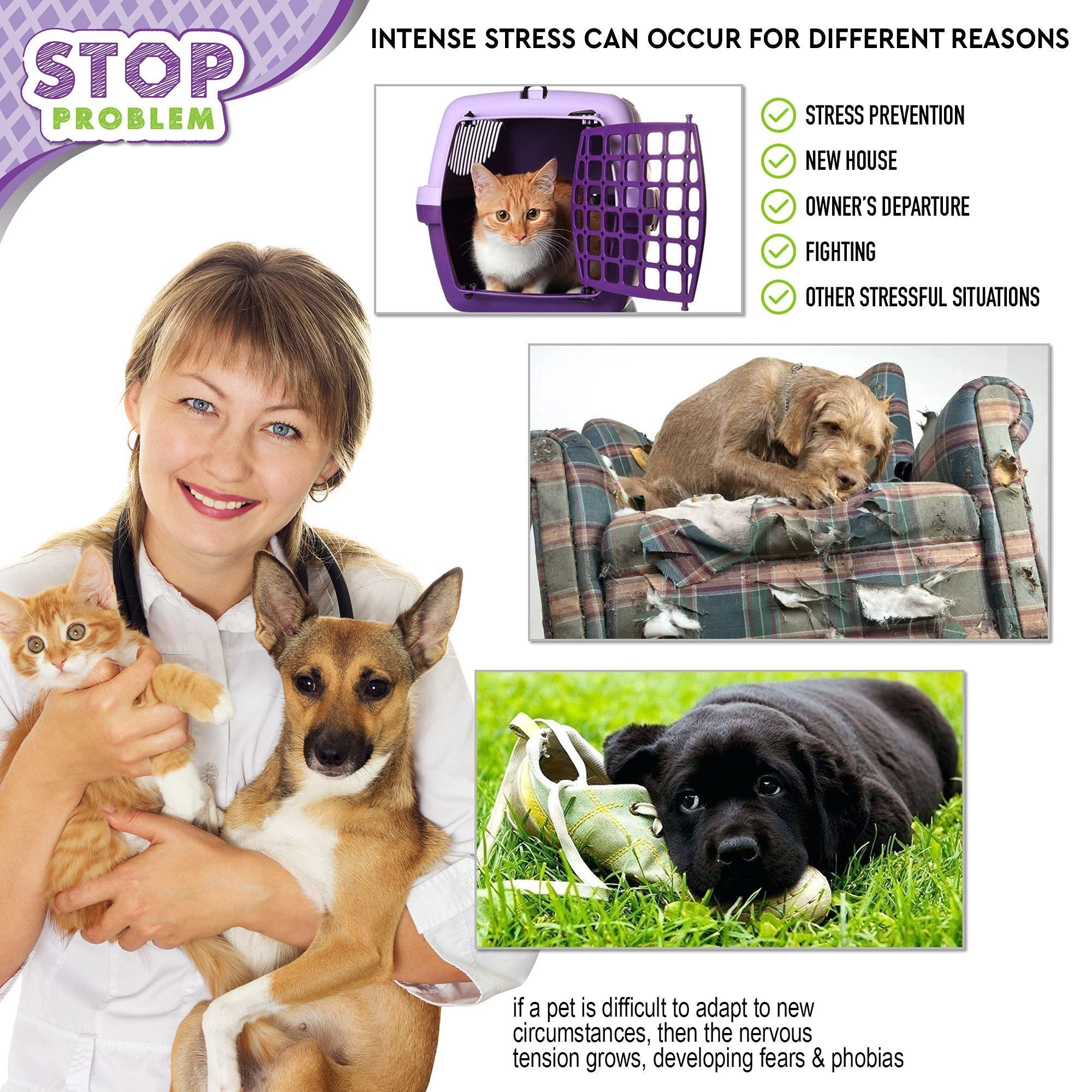Brandywines Time calming pheromone spray for cats, relief from stress, scratching, and hiding behavior in pet supplies.