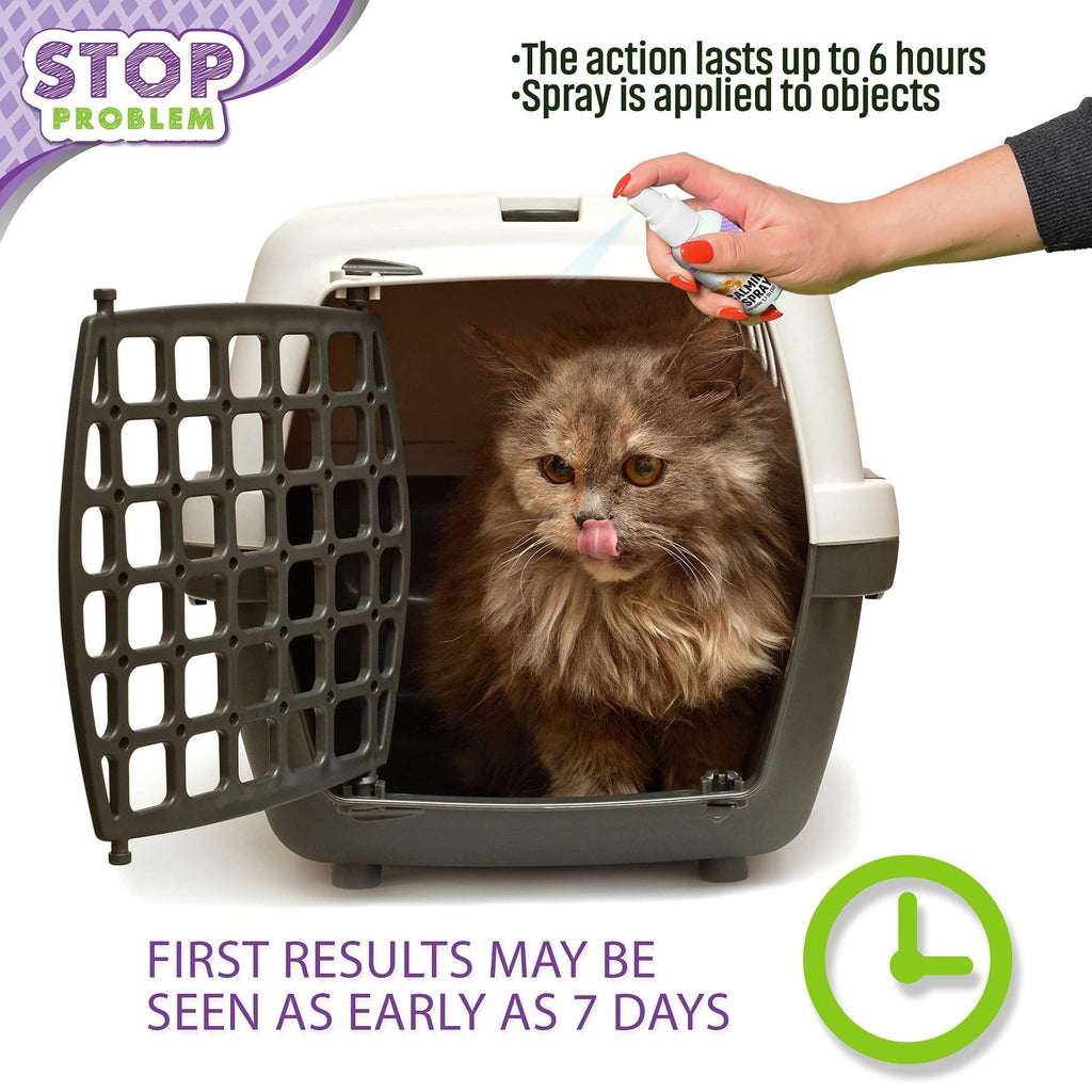 Brandywines Time calming pheromone spray for cats, pet supplies to reduce stress, discourage scratching, and hide-related behaviors.