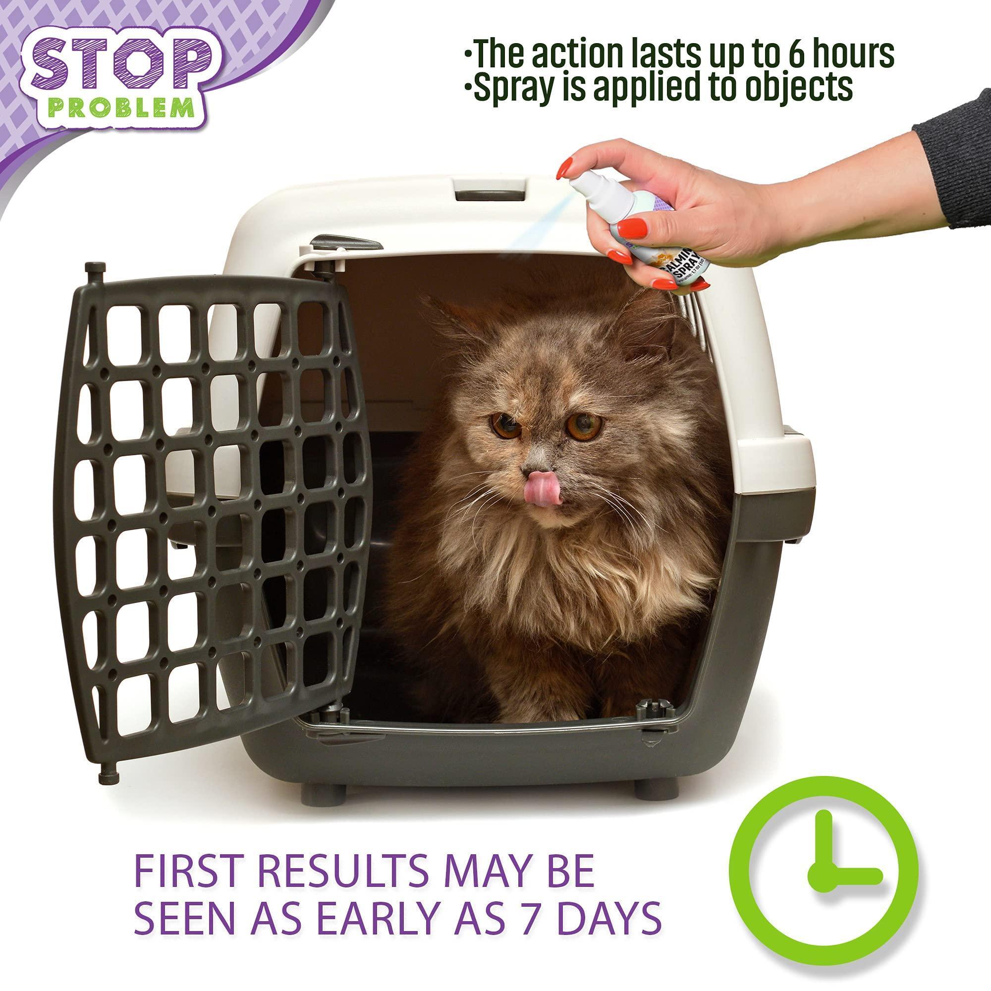 Brandywines Time calming pheromone spray for cats, pet supplies to reduce stress, discourage scratching, and hide-related behaviors.