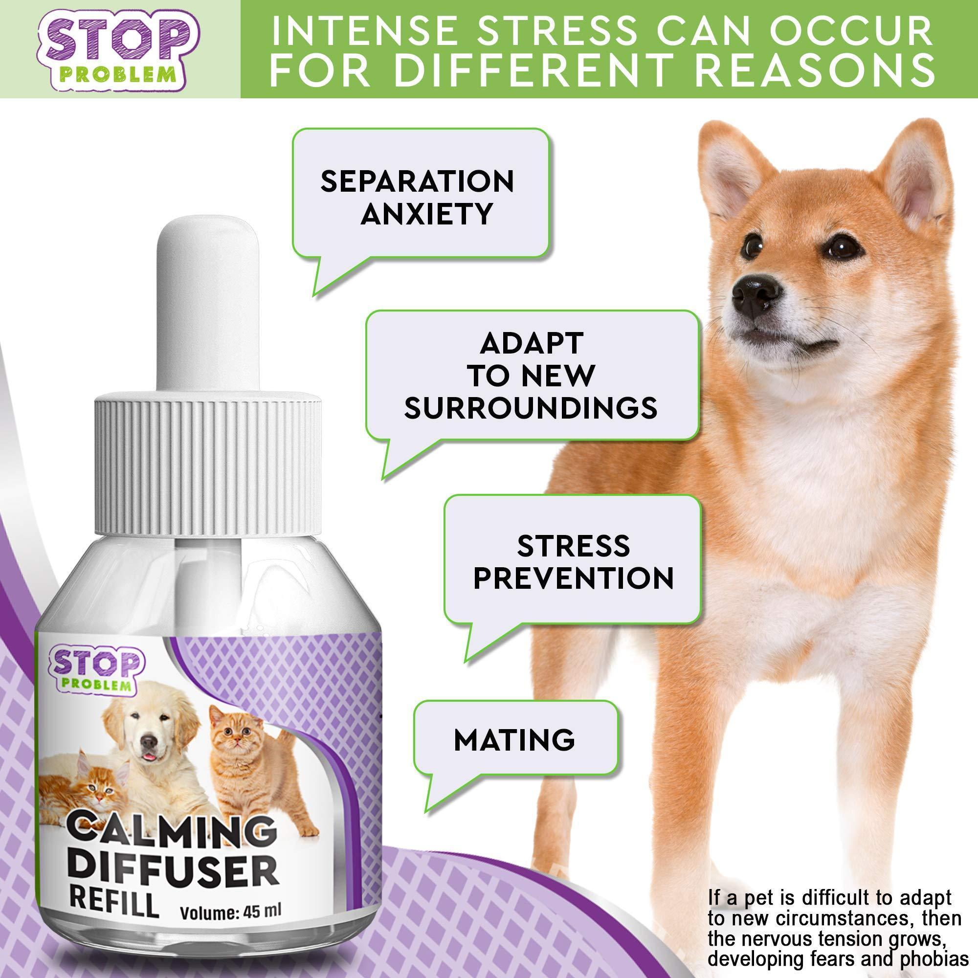 Brandywines Time cat calming diffuser emits feline pheromones for stress relief and anxiety reduction in pets.