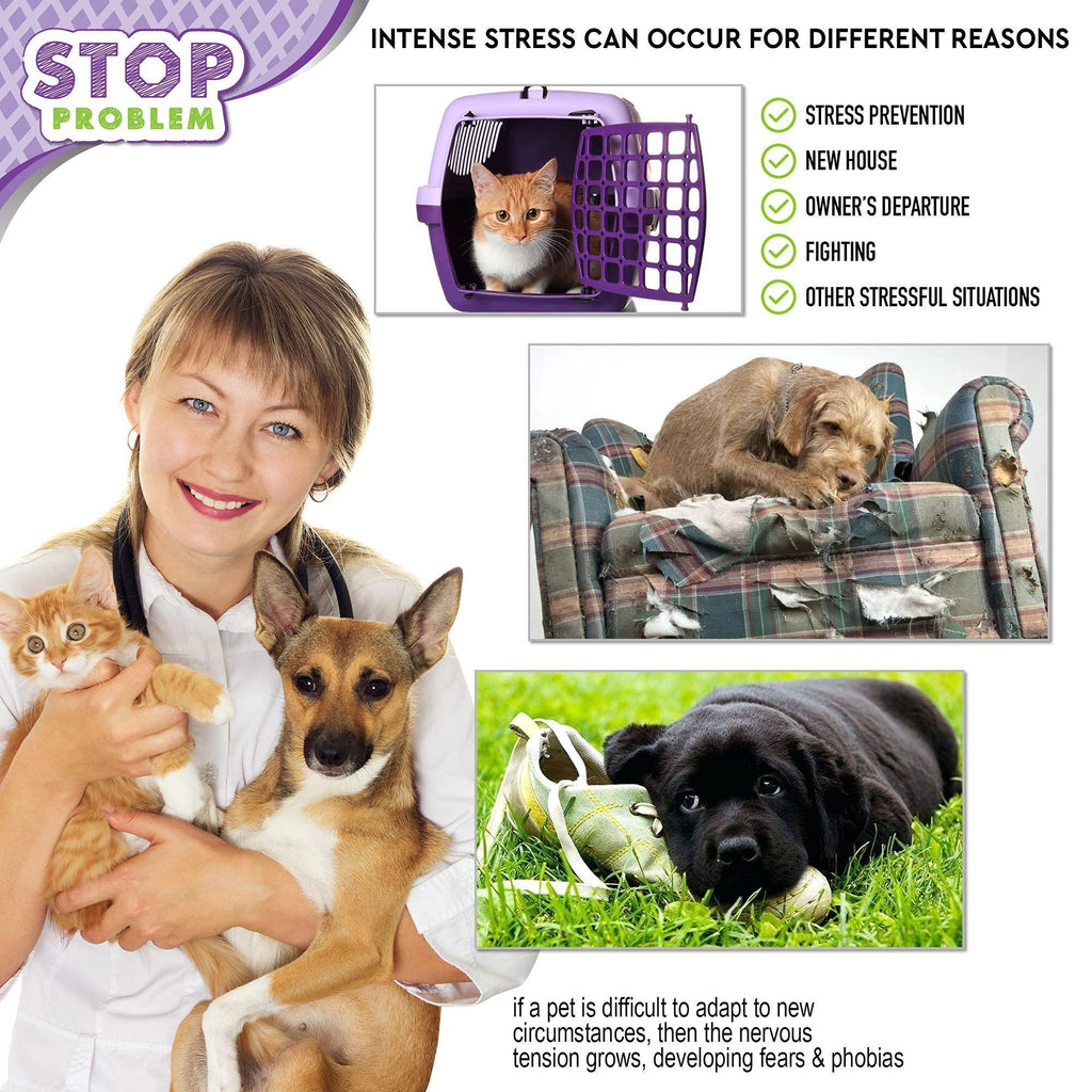 Brandywines Time cat calming diffuser emitting feline pheromones to reduce stress and anxiety in pets.