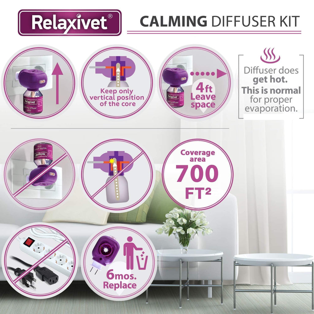 Brandywines Time dog calming pheromone diffuser refill 2-pack, designed to reduce anxiety in pets, with a sleek container and label.