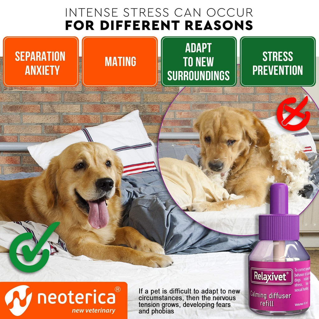 Brandywines Time dog calming pheromone diffuser refill 2-pack, designed to reduce anxiety in pets, with improved formula from Germany.